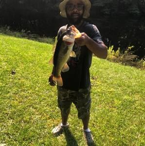 Meet your Posher, Al